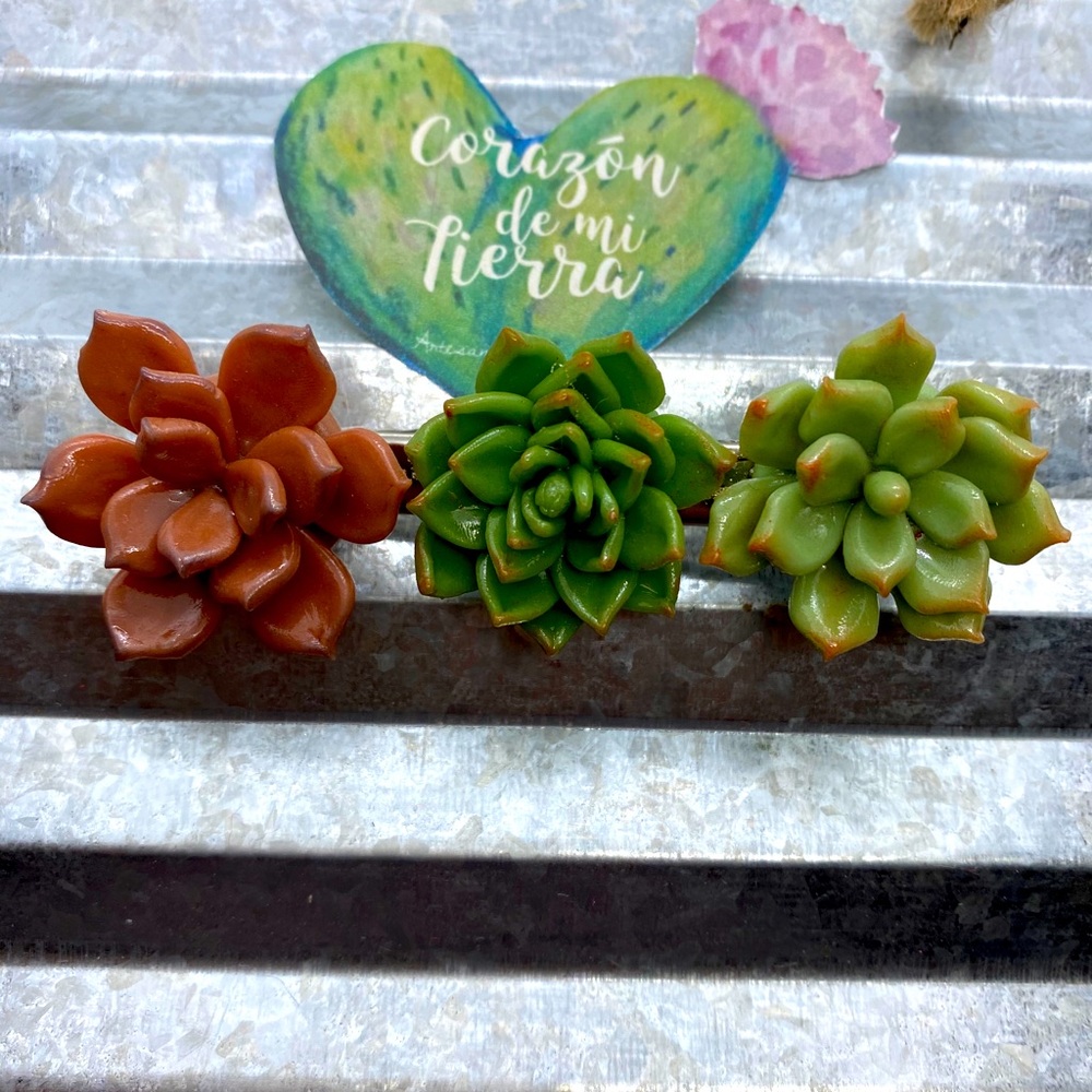 Succulent hair clip